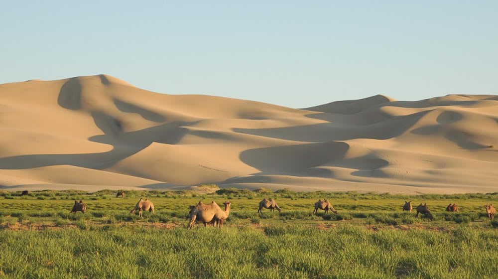 モンゴルの南西部にあるゴビ砂漠